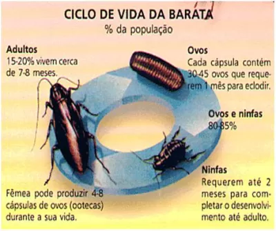 Troca e instalação de chuveiros